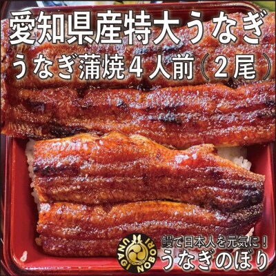 【愛知県産】特大うなぎの蒲焼き