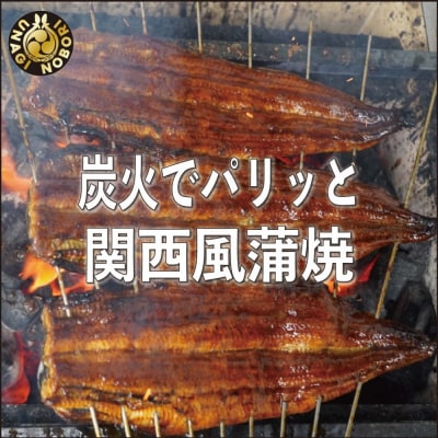 【愛知県産】特大うなぎの蒲焼き
