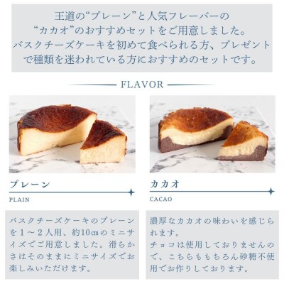 とろける2層のバスクチーズケーキ2個セット(プレーン・カカオ)