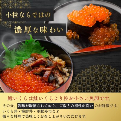 いくら 醤油漬け 500g(250g×2P)  小分け  鱒の卵 化粧箱入り