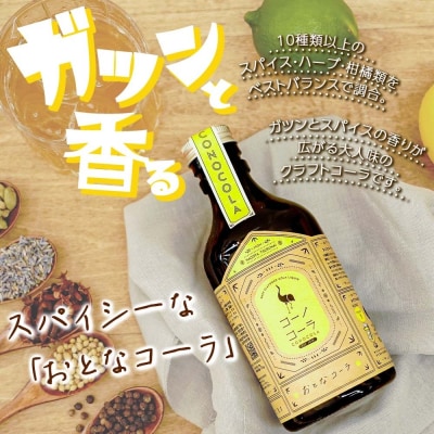 《無地熨斗》 ギフトボックス入り コーノコーラ クラフトコーラ 3種セット