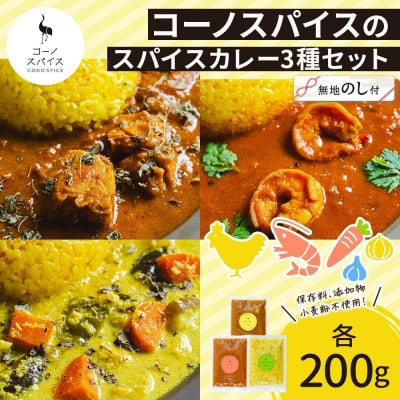 《無地熨斗》 コーノスパイス スパイスカレー 3種 セット チキン エビ ベジタブル 各200g