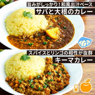《無地熨斗》 コーノスパイス スパイスカレー3種セット チキン サバと大根 キーマ 各200g