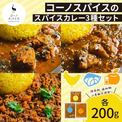 コーノスパイス スパイスカレー3種セット チキン サバと大根 キーマ 各200g