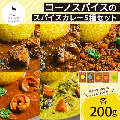 コーノスパイス スパイスカレー5種セット チキン サバと大根 キーマ エビ ベジタブル 各200g