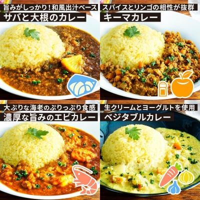 コーノスパイス スパイスカレー5種セット チキン サバと大根 キーマ エビ ベジタブル 各200g