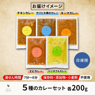 コーノスパイス スパイスカレー5種セット チキン サバと大根 キーマ エビ ベジタブル 各200g