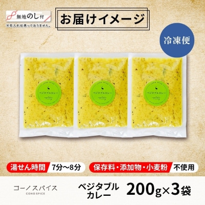 《無地熨斗》 コーノスパイス ベジタブルカレー 200g×3パック