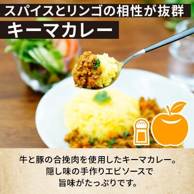 コーノスパイス キーマカレー 200g×3パック