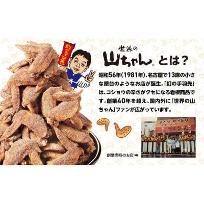 世界の山ちゃん　おつまみチキン　ジャーキー仕立て(21g×10袋)