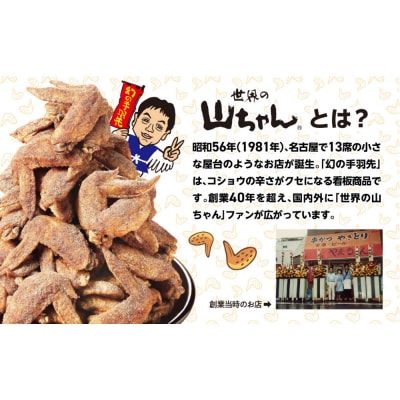 世界の山ちゃん　カチカチドライソーセージ(30g×2袋) | 世界の山ちゃん 山ちゃん やまちゃん