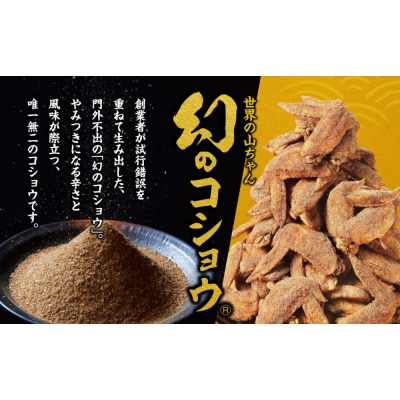 世界の山ちゃん　カチカチドライソーセージ(30g×2袋)