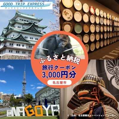 名古屋市に泊まる ふるさと納税旅行クーポン【3,000円分】