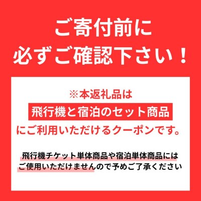 名古屋市に泊まる ふるさと納税旅行クーポン【3,000円分】