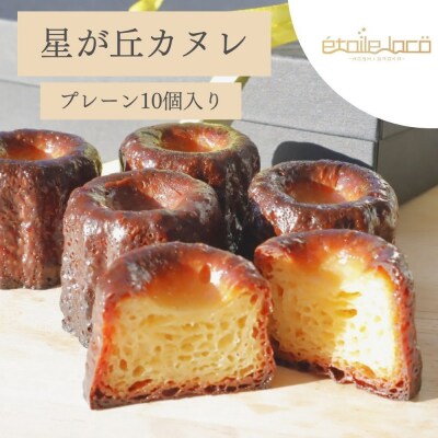 【星が丘カヌレ プレーン10個入り】フランスの焼き菓子