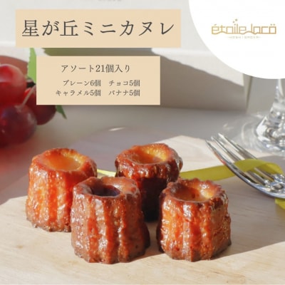 【星が丘ミニカヌレ アソートセット21個入り】フランスの焼き菓子