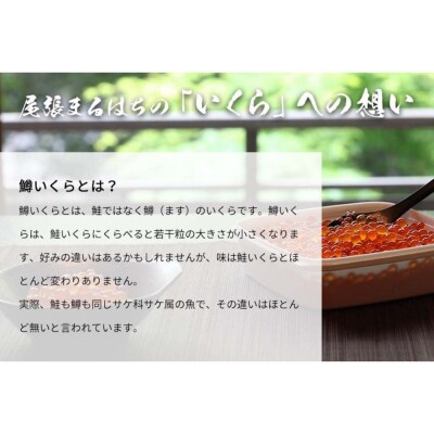 いくら 醤油漬け 1kg(100gx10P)  鱒の卵 冷凍 尾張まるはち