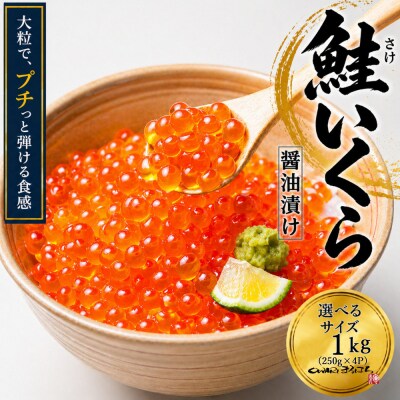 いくら 醤油漬け  1kg(250g×4P) アメリカ 鮭の卵 化粧箱入 尾張まるはち