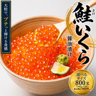 いくら 醤油漬け 800g(100g×8P) アメリカ 鮭の卵  尾張まるはち