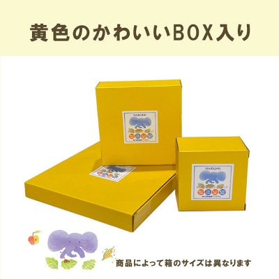 ナルミ みんなでたべよっ! キッズプレート 28cm 40433-5554