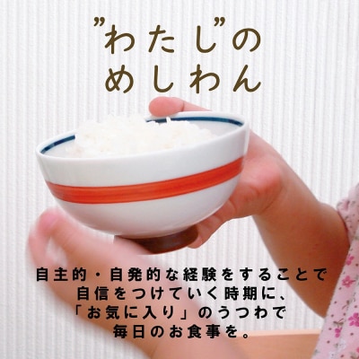ナルミ クラウンキッズ めしわん(しましま大) 200cc 40860-3699