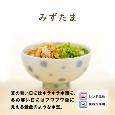 ナルミ クラウンキッズ めしわん(みずたま小) 160cc 40862-3698