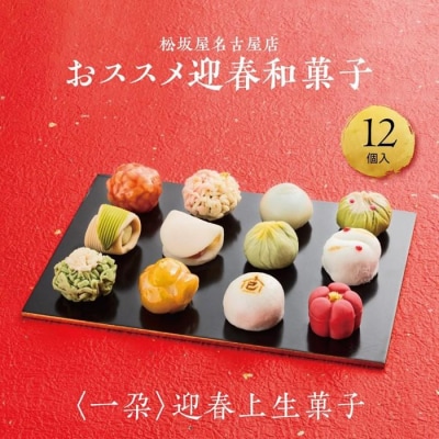 【松坂屋名古屋店おすすめ】＜一朶＞迎春和菓子　迎春上生菓子/12個