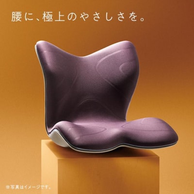 Style PREMIUM【グレー】 | スタイルプレミアム 骨盤 椅子 座椅子 姿勢サポート