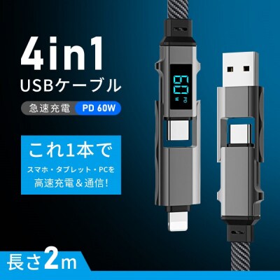 4in1ケーブル Type-C to Type-C充電ケーブル2m iPhone15/16対応