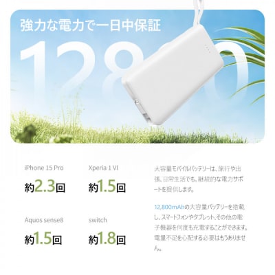モバイルバッテリー 12800mAh 47.36Wh【PL保険加入済み製品・安心】