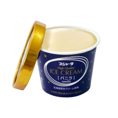 アイス 11個 詰め合わせ【チョコ入り】 シンカンセンスゴイカタイアイス 詰合せ