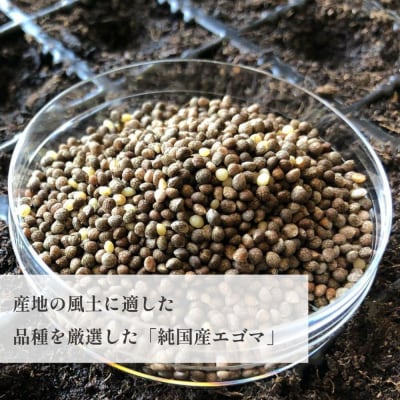 タネから開発した国産エゴマ油100g1本　毎日のオメガ3脂肪酸摂取に
