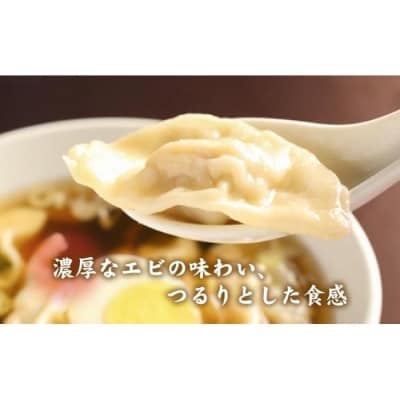 カリットギョウザ まるごとセット3種(48ケ)餃子 水餃子 スマイル餃子