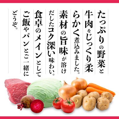 野菜が美味しいボルシチ　240g×7袋