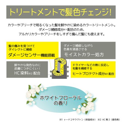 Tottimo! ディップカラー　シルバー　500g