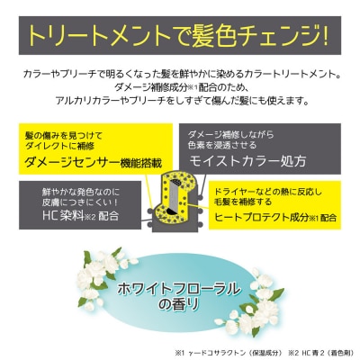 Tottimo! ディップカラー　ダークシルバー　500g