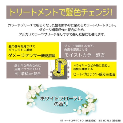 Tottimo! ディップカラー　ミルクティ　500g