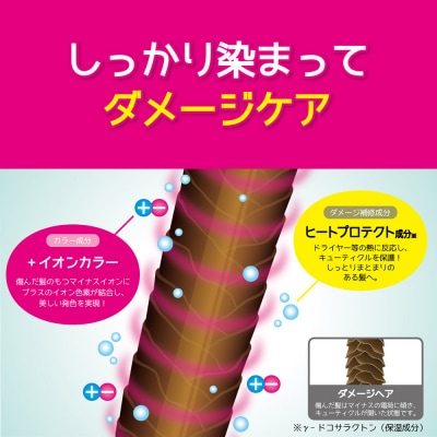 Tottimo! ディップカラー　ミルクティ　500g