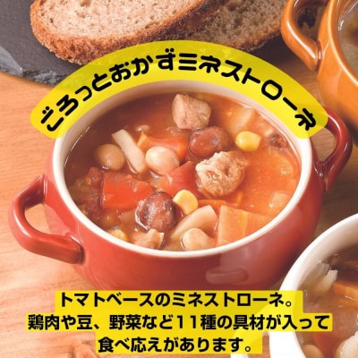 3種のごろっとおかずスープセット　12袋(3種×4袋)　