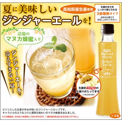 Mother’s　Marketマヌカ蜂蜜入りジンジャーシロップ　200ml×3本