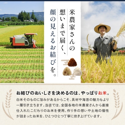 南知多産タコとタコの出汁を使った「たこむすび」(10個入り) | 冷凍おにぎり