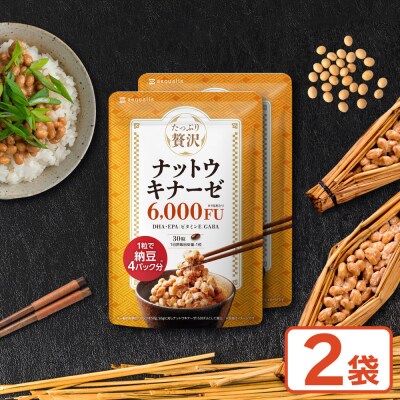 ナットウキナーゼ サプリメント たっぷり贅沢ナットウキナーゼ 2袋