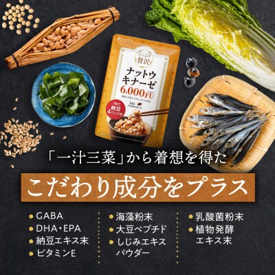 ナットウキナーゼ サプリメント たっぷり贅沢ナットウキナーゼ 2袋