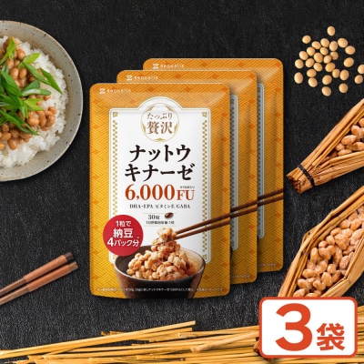 ナットウキナーゼ サプリメント たっぷり贅沢ナットウキナーゼ 3袋