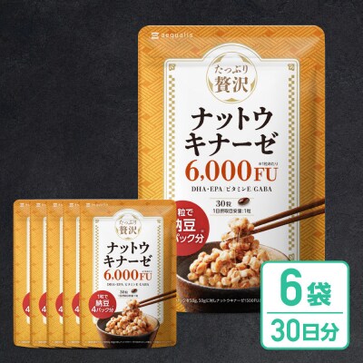 ナットウキナーゼ サプリメント たっぷり贅沢ナットウキナーゼ 6袋
