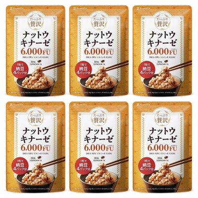 ナットウキナーゼ サプリメント たっぷり贅沢ナットウキナーゼ 6袋