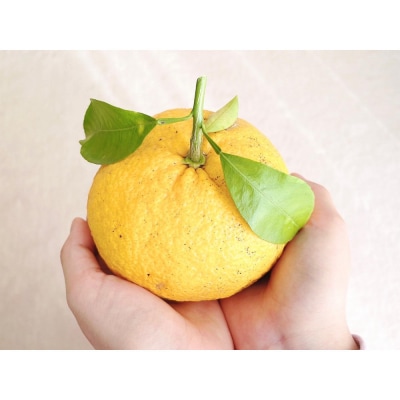 夏みかん ルームフレグランスミスト