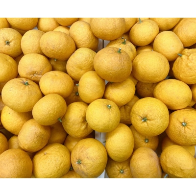 夏みかん ルームフレグランスミスト