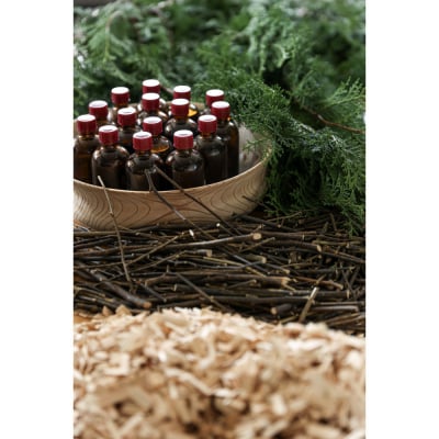 Forest ルームフレグランスミスト