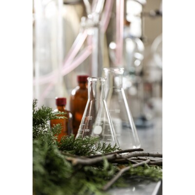 春姫と名古屋城 ルームフレグランスミスト